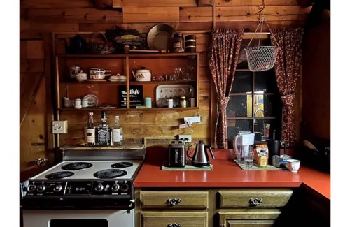 Nathrop Cabin | Iconic Log Cabin w/Wood Burning Hot Tub & Views