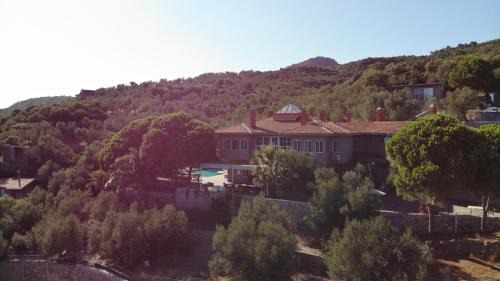 Ayvacik Hotel | idaolea ASSOS