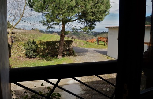 Valdes Apartment | Ideal apartment for a couple near the sea
