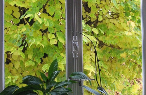 Faubourg North Apartment | IDEAL Art déco + secure private park. bike room Darcy, Liberté town center station