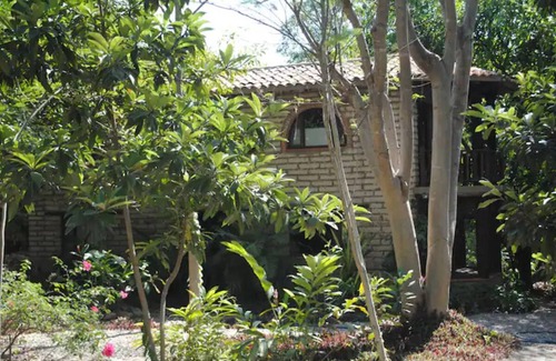 Xoxocotla Cabin | Idyllic cottage in the middle of nature close to river