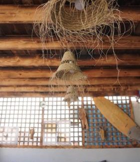 Imsouane Bed & Breakfast | IGGYBAY Dorms