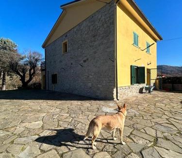Trivigno House | Il Gelso