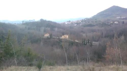 Comunanza Apartment | Il Gelso Rosso