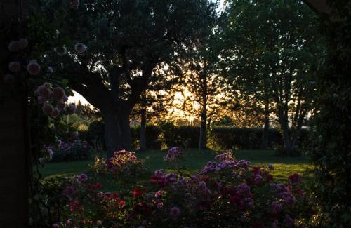 Santa Maria Nuova Bed & Breakfast | Il Giardino delle Rose