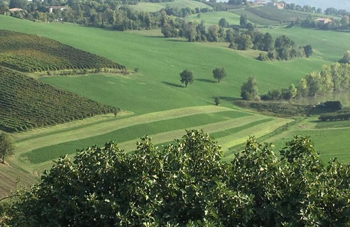 Castelvetro di Modena Bed & Breakfast | Il Giardino B&B