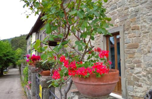 Moggiana Apartment | il Nido