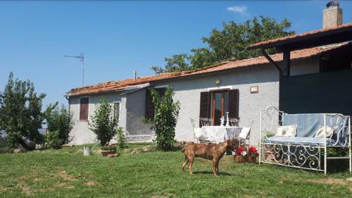 Montorgiali House | Il poggetto di Barbara Casa Grigia