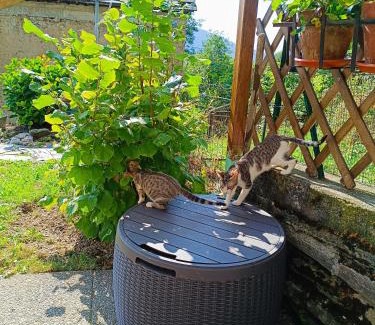 Viu House | Il Rifugio della Baita