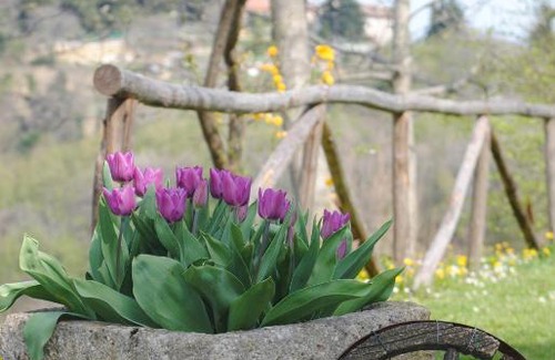 Colle San Marco House | Il Roccolo , Ascoli Piceno