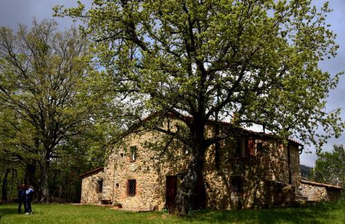 Massa Marittima Bed & Breakfast | Il Venaio