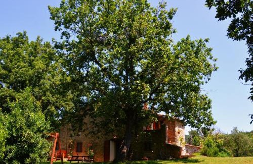 Massa Marittima Bed & Breakfast | Il Venaio