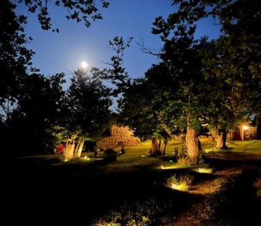 Massa Marittima Bed & Breakfast | Il Venaio