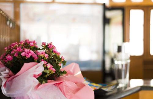 Collecchio Hotel | Ilga Hotel