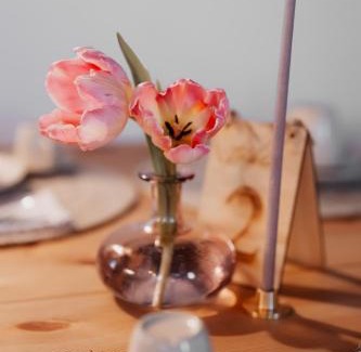 Illasi House | ILLASI DREAM ROOMS
