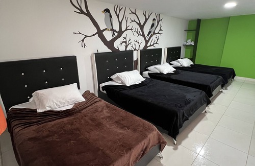 Genova Hotel | Ilusión Ecoparque Hotel