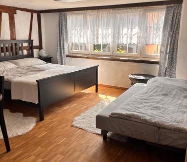 Rebstein Apartment | Im Herzen von Rebstein