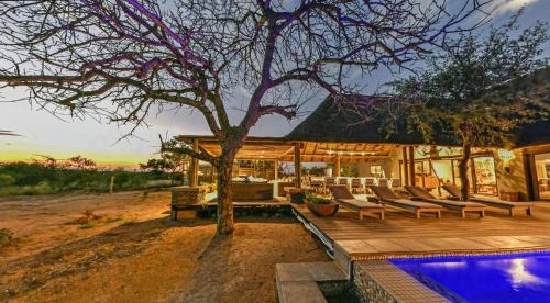Hoedspruit Cabin | Imagine Africa Luxury Tented Camp