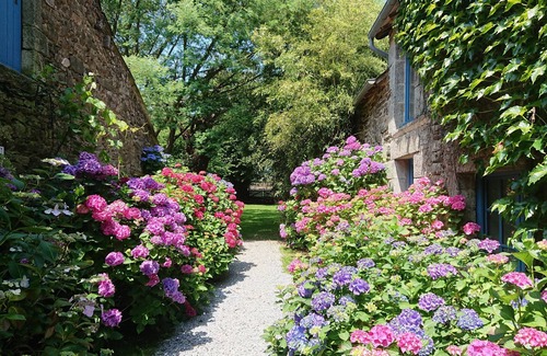 La Gree-Saint-Laurent Cottage | In the heart of the Morbihan