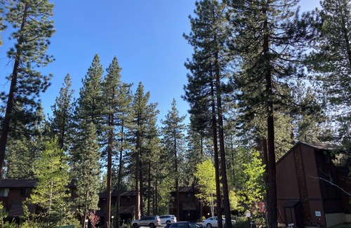 Incline Village House | Incline Village Family Resort Fourth July Weekend