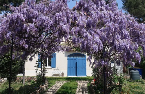 Aubagne Apartment | Independent apartment with garden in Provence near Casamance