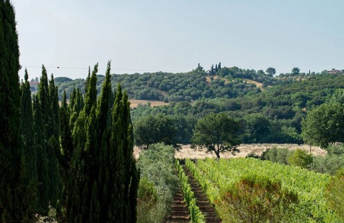 Suvereto House | Individual accommodations near the sea, nice for bathing and biking holidays