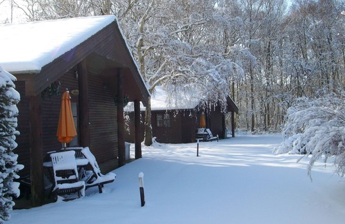 Ashford Ski Chalet | Indoor Pool. Beautiful 2 bed lodge sleeping 4 set in 5acre of beautiful Woodland