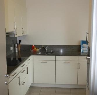 Pregassona Apartment | Indoor Swimming Pool, Sauna, Fitness, Private Gardens, Spacious Modern Apartment