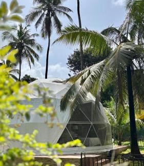 Bardez Hotel | Indulge House