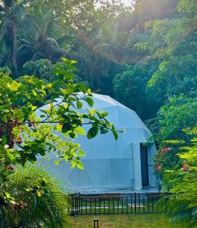 Bardez Hotel | Indulge House