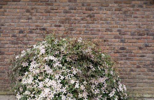Knockaderry Cross Roads Bed & Breakfast | Inglewood Lodge B&B