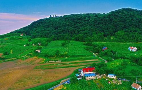 Somloszolos House | Inhauser Pincészet&Guesthouse&Restaurant