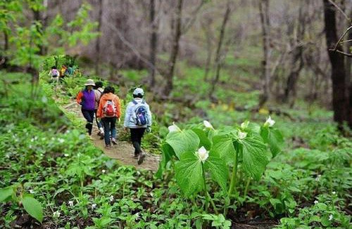 Inje House | Inje Gombaeryeong Evergreen Pension