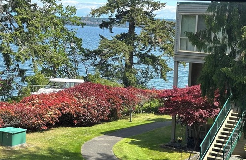 North Oyster Condo | Inn of the Sea Affordable Studio Suite -Oceanfront Pool/Hot Tub & private dock
