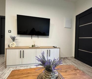 Prinos Apartment | Inos Apartment
