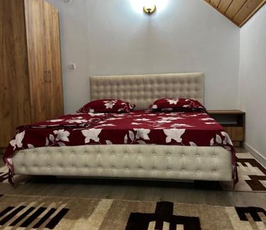 Vidra House | Insieme