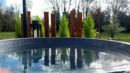 Saint-Christophe-sur-Conde House | INSOLITE La Tiny House du Lutin Many et son Bain Nordique