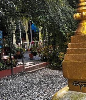 Thamel Bed & Breakfast | Institute Of Natural Medicine , Yoga & Therapy home