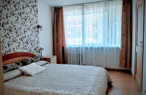 Druskininkai Apartment | Irene apartments