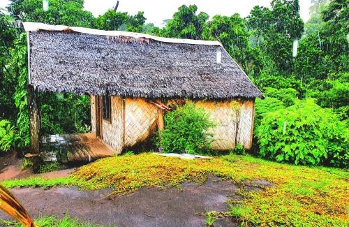 Tanna Island Bed & Breakfast | island paradise bungalows