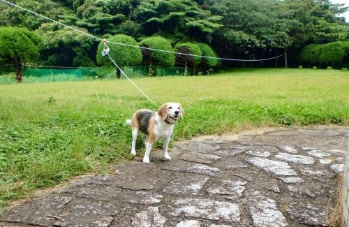 Isumi House | Isumi seishinso - Vacation STAY 84726v