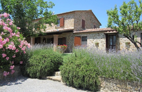 Monte San Savino Villa | Beautiful Tuscan Country Villa - Pool - Pizza Oven - Gourmet Kitchen