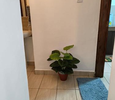 Runda Apartment | Ivory Homes