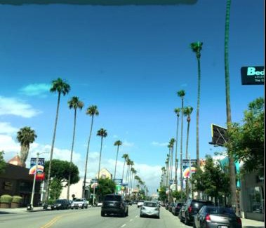 Van Nuys Apartment | Ivy's Place