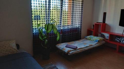 Ventspils Apartment | Jūras Apartment Ventspils