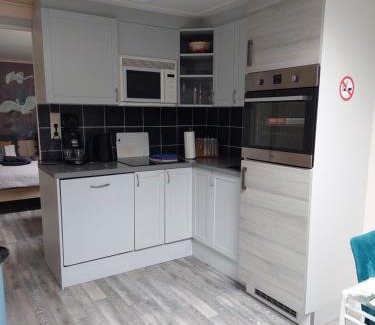 Hoofddorp Apartment | JaBaKi Garden House