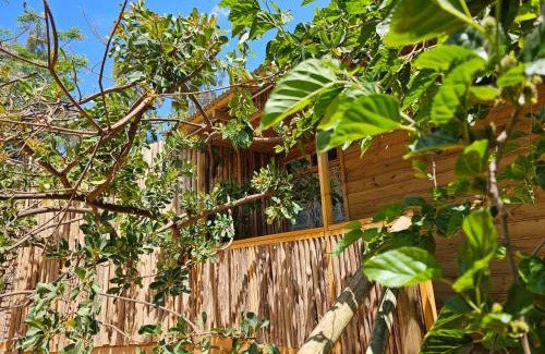 Iringa Hotel | Jabali Mountain Cabin