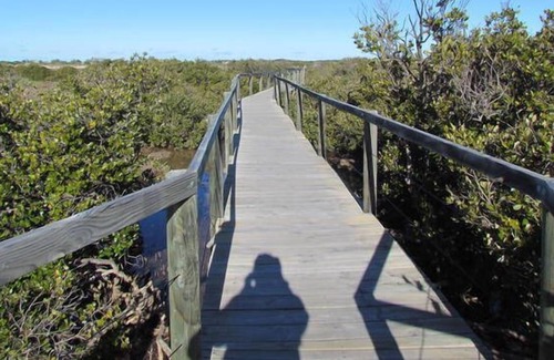 Boothby Cabin | Jacko's Holiday Cabins