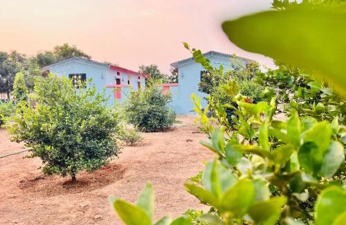Amer House | Jaipur Eco Village