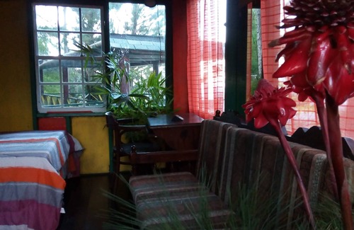 Blue Mountains National Park Cabin | Jamaica House - The Blue Mountain Wilderness Retreat
